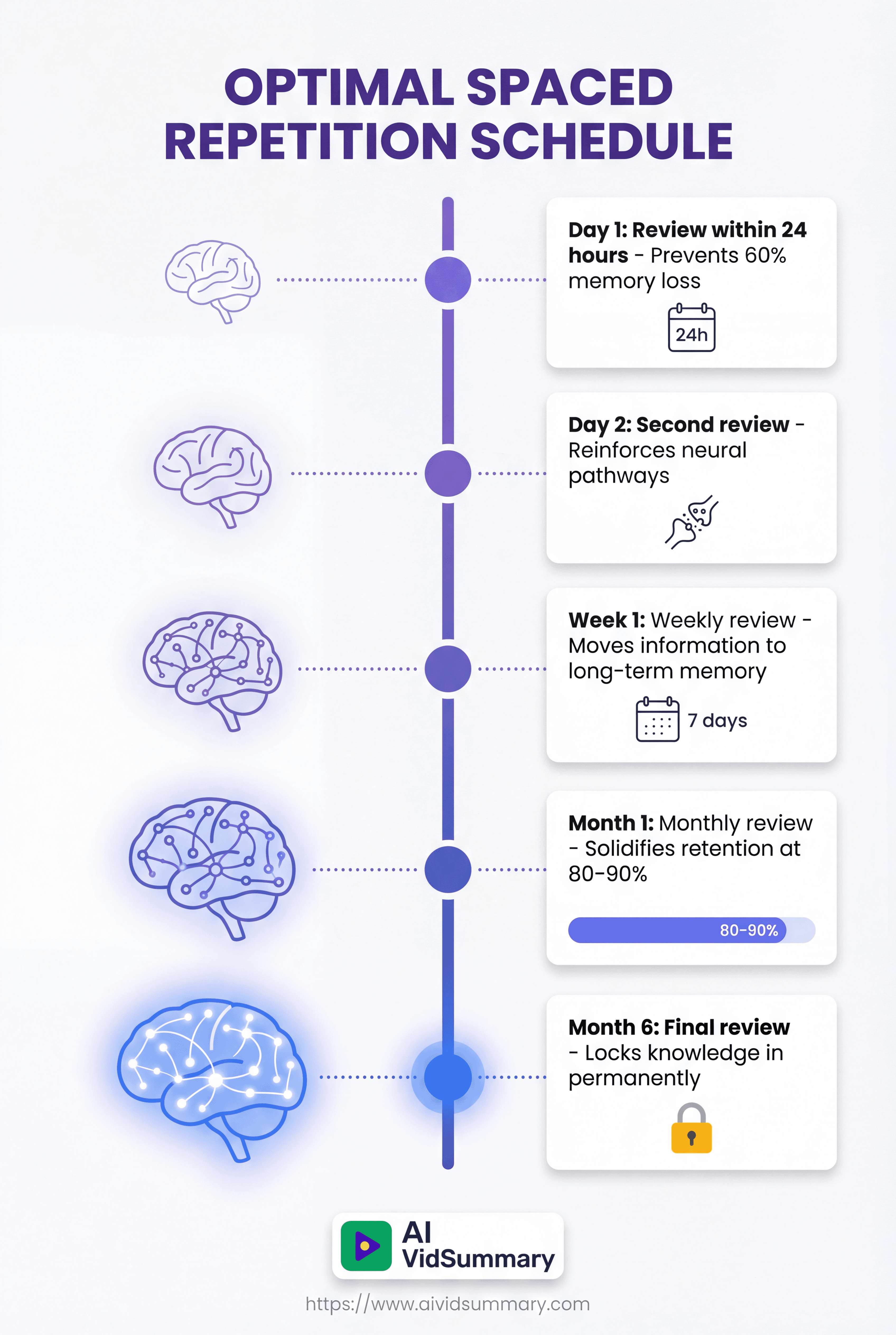 Vertical timeline infographic showing 5 stages of spaced repetition learning schedule with brain icons growing from small to glowing, connected by purple-to-blue gradient line, displaying review intervals from Day 1 to Month 6 with memory retention percentages